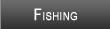 Watts Bar Lake Fishing